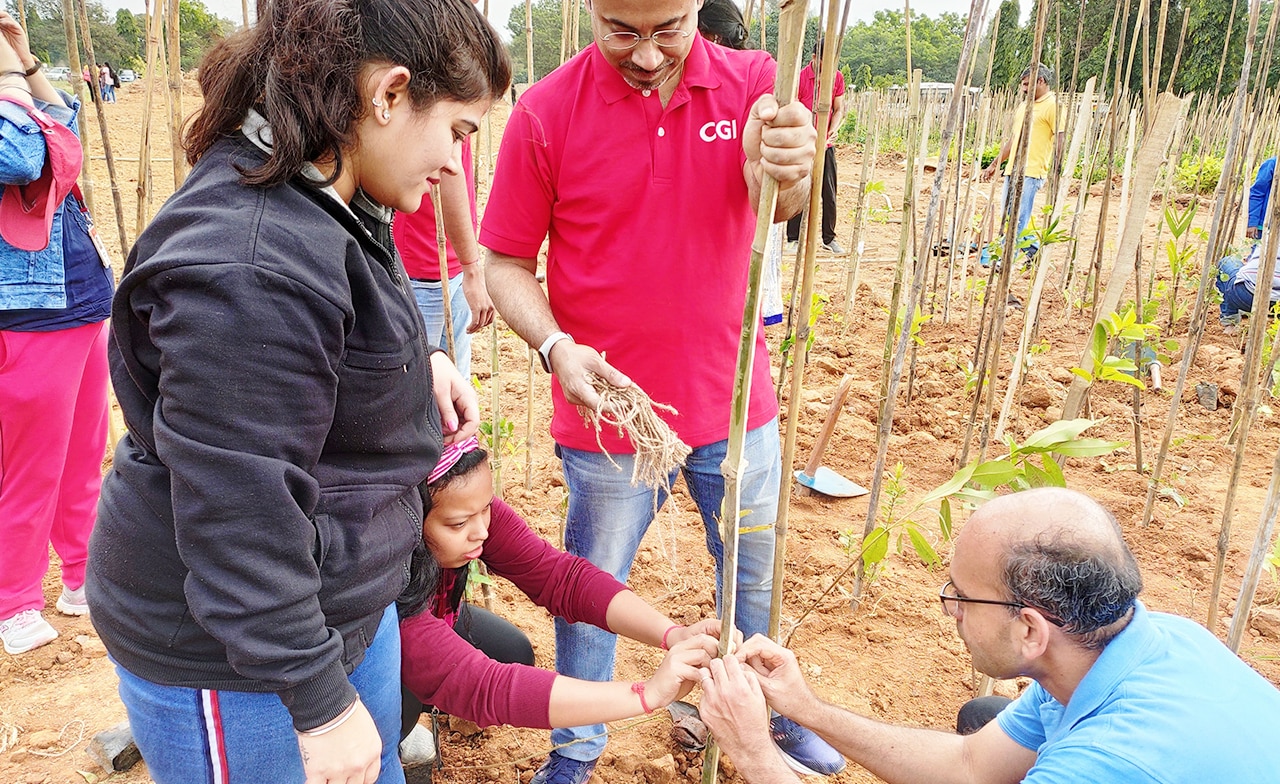 CGI members planting trees