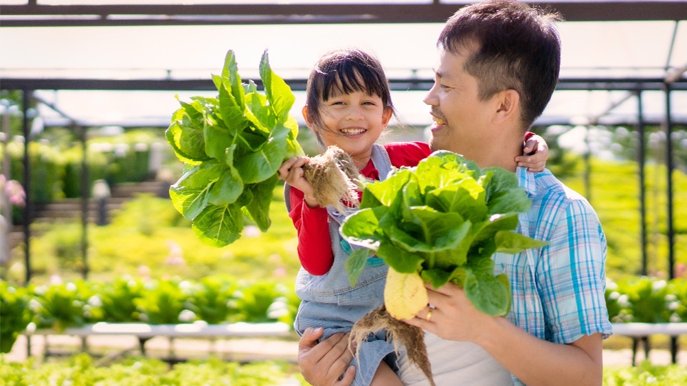 Adult and child picking vegetables Adult and child picking vegetables