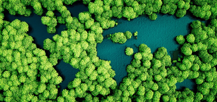 climate change trees medium overhead view of trees outlining shape of Earth's continents