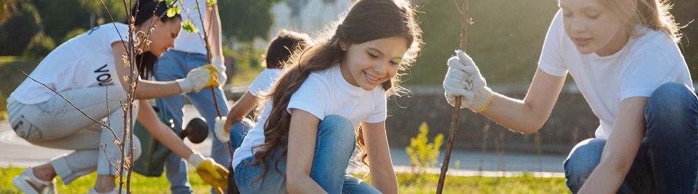 Rädda miljön Barn som planterar växter i kvällssolen