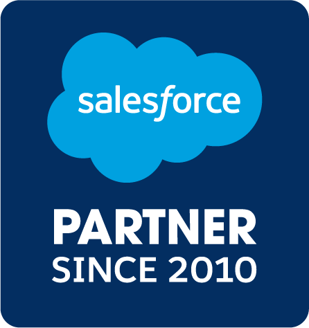 Salesforce 2010 partner