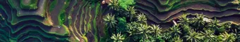 Ariel view of tropical mountain range - Sustainability