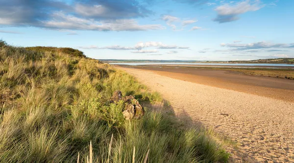 Braunton Burrows beach and sand dunes North Devon UNESCO Biosphere reserve 