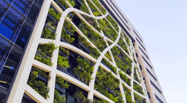 Un immeuble avec un mur végétal