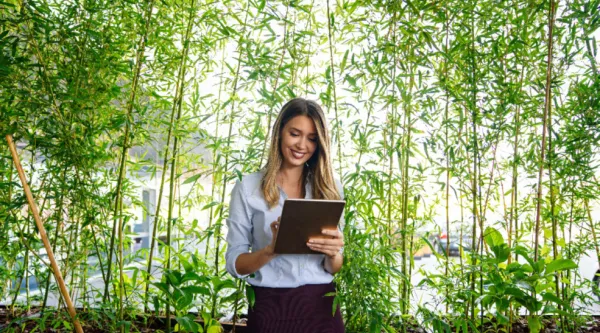 Une femme en train d'utiliser une tablette tactile