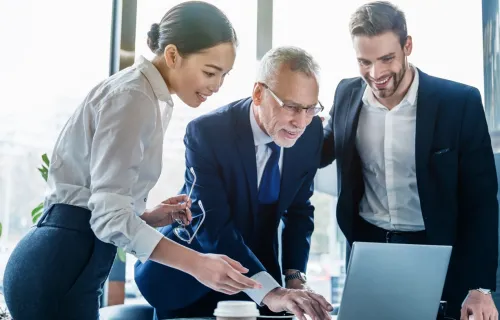 Consultants looking at a laptop