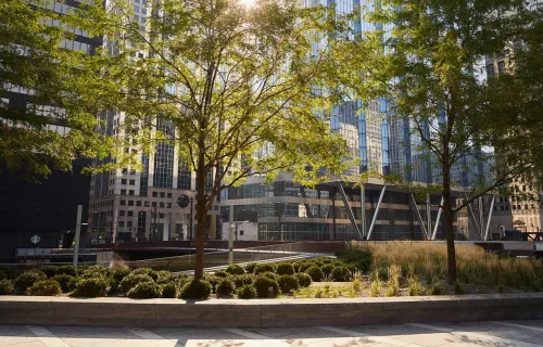 Modern, sustainable data center with trees and shrubs in front