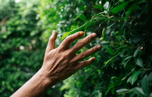 Man feeling happy touching his home grown garden