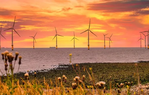 offshore wind turbines at sunset