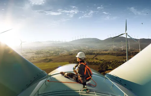 Research engineer looking at multi turbine wind farm