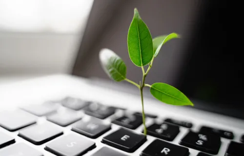Small green plant growing from laptop keyboard
