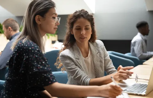 Two consultants looking at computer together