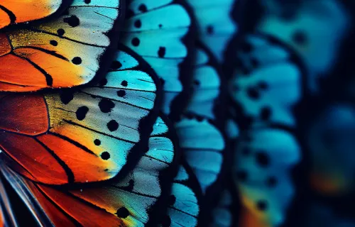 People AI Viewpoint Paper