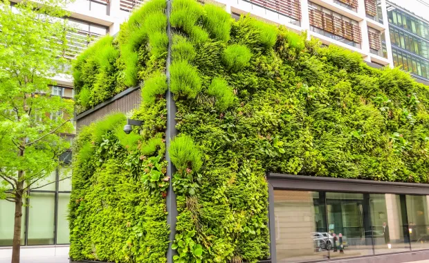 un bâtiment recouvert de végétation naturelle, représentant la durabilité environnementale