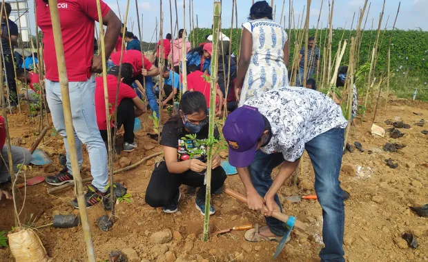 Les employés de CGI aident à planter des arbres, représentant nos efforts de bénévolat ESG