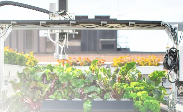 USING TECHNOLOGY TO OPTIMIZE URBAN FARMING