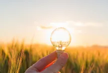lightbulb representing innovation