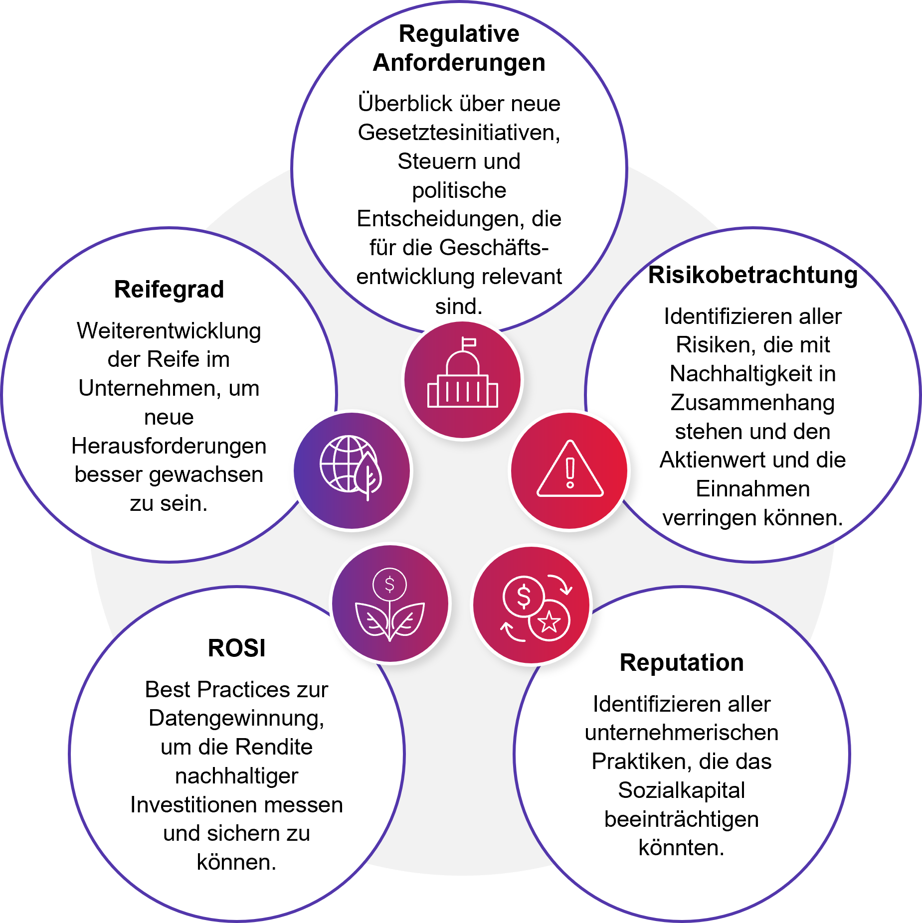 Grafische Darstellung des Sustainability Framework Grafik: Sustainability Framework