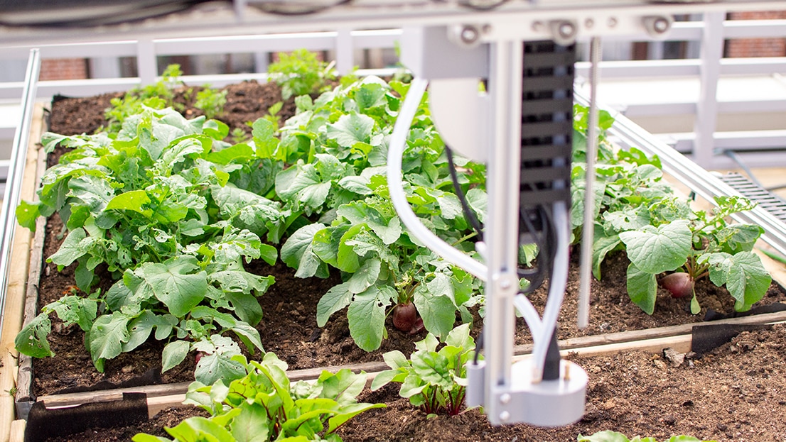 technonogy using urban farm lab -  cgi's innovation