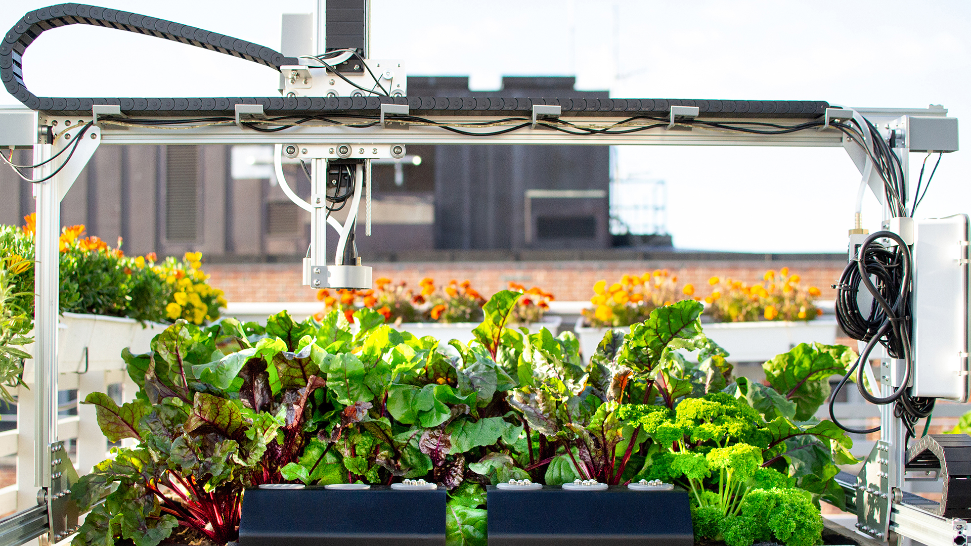 urban farming - artificial intelligence